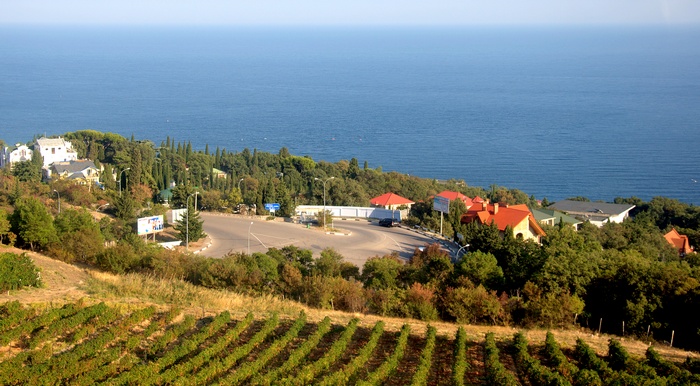 Отдых в Крыму, сентябрь: лучшая пора для дегустации местного винограда!